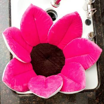 Bloomingbath Kvetoucí koupel růžová