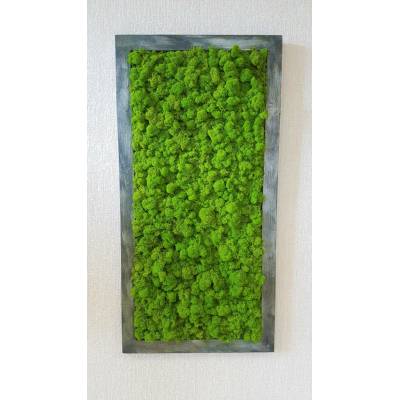 Mechový obraz v patinovaném rámu 80 cm x 30 cm