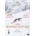Der Schneeleopard DVD