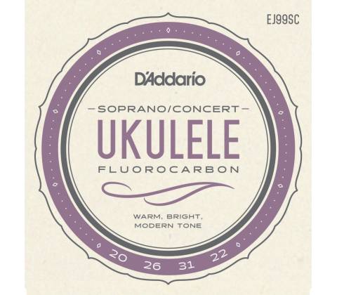 D'Addario EJ99SC
