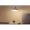 Image 1 of Gosund Nite Bird LB1