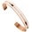 Daniel Wellington Гривна Daniel Wellington (DW00400005)