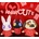 Anarcute