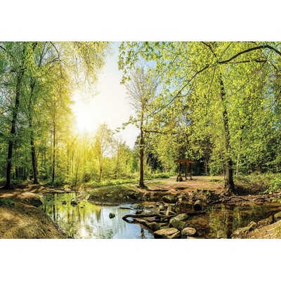 Postershop Obraz na plátně: Lesní potok (3) - 75x100 cm