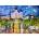 Enjoy - Puzzle Jackson Square, New Orleans - 1 000 piese