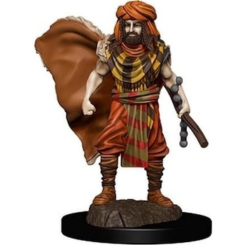 D&D Miniatures: Icons of the Realms Human Druid Male