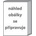 Big Fun 3 Workbook with AudioCD