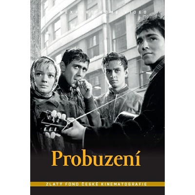 Probuzení digipack DVD