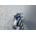 Bosch 2608900239