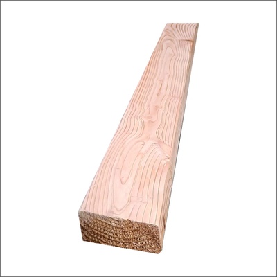 Fasádní profil Raute modřín sibiřský 28x68x4000 A/B