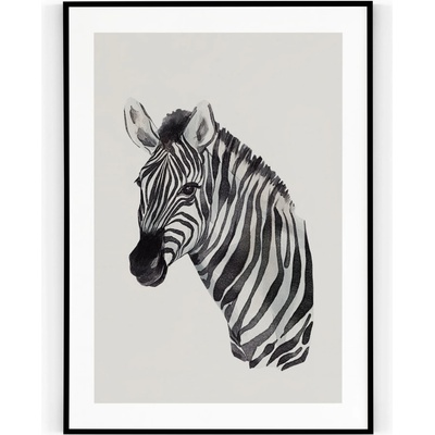 Plakát / Obraz Zebra 30 x 40 cm Tiskové plátno Bez okraje