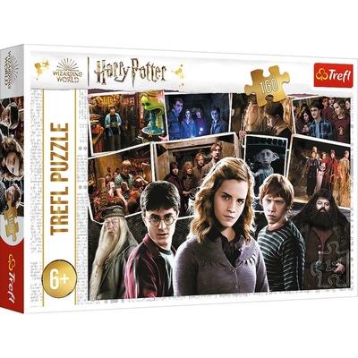 TREFL Harry Potter s přáteli 160 dílků