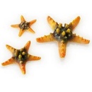 BiOrb Sea Stars set žltá 10, 8 a 5 cm