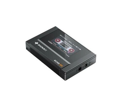 FiiO SNOWSKY Echo Mini