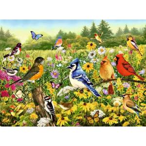 Ravensburger - Puzzle Bird meadow - 500 piese