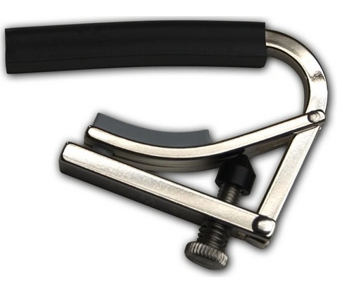 Shubb C3 12- String
