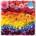 Galison - Puzzle Rainbow Flowers - 500 piese