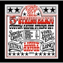 ERNIE BALL 2312
