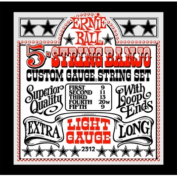 ERNIE BALL 2312