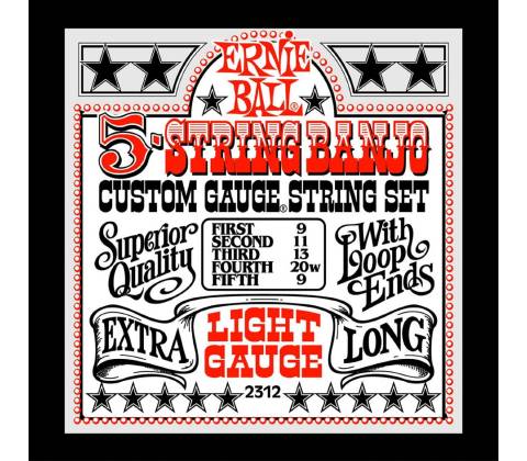 ERNIE BALL 2312