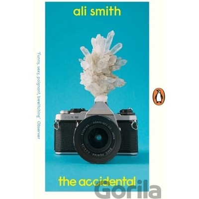 The Accidental - Ali Smith