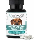 RenAvast Dog 60 tbl