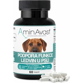 RenAvast Dog 60 tbl