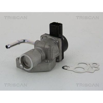 AGR-Ventil TRISCAN 8813 10014