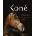 Koně - Saskia Brixner