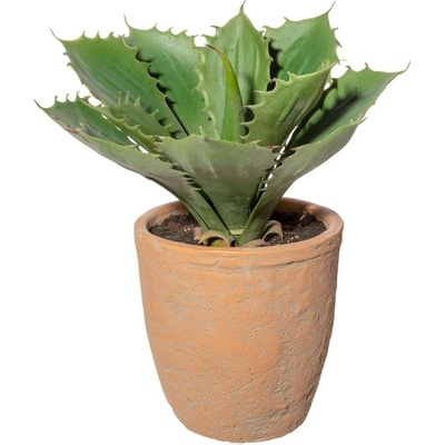 Gasper Umělá rostlina Echeveria 25 cm