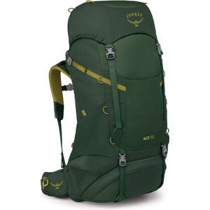 Osprey Детска детска раница Osprey Kid's Ace 50 Kids' backpack - Green Canopy / Matcha Green - размер One Size (508-0702-0211)