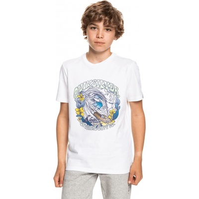 Quiksilver YOUTH WAVEY SKULL TEE White WBB0
