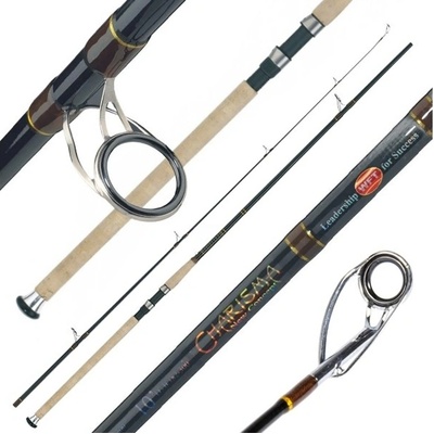 WFT Charizma Senso Pilk 2,4 m 50 - 190 g 2 diely