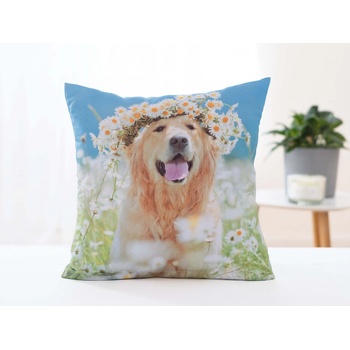 Carbotex Zlatý Retríver Amálka 40 x 40 cm