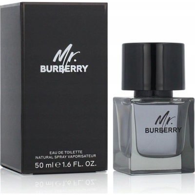 Burberry Mr. Burberry toaletná voda pánska 50 ml