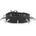 Leather & steel fashion гривна Dragon, с шипове - LSF1 105