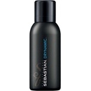 Sebastian Drynamic suchý šampón 212 ml
