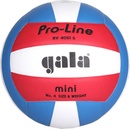 Gala Pro-Line Mini BV 4051 S