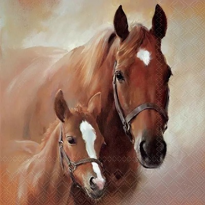 Ubrousek 33x33 cm KONÍCI – Zbozi.Blesk.cz