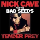 NICK CAVE & THE BAD SEEDS - TENDER PREY (1CDD)