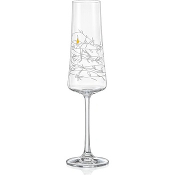 Crystalex GARDEN sklenice na sekt 2 x 210 ml