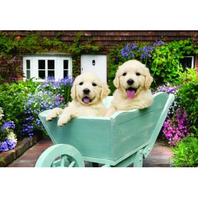 Anatolian - Puzzle Puppies in a Wheelbarrow - 260 piese