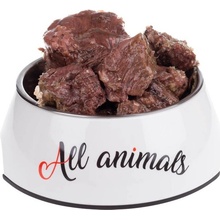 All Animals Dog hovězí steak 800 g