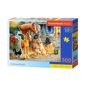 Castorland Puzzle 300 pieces Gathering Friends
