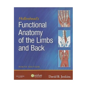 Hollinshead's Functional Anatomy of the Limbs and Back | David Jenkins (ISBN: 9781416049807)