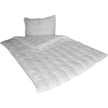 zdravsi-spanok Antialergický súprava Aloe Vera 70x90 140x200