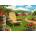 Enjoy - Puzzle This Lovely Morning - 1 000 piese
