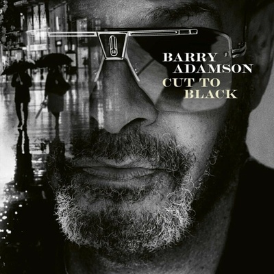 Barry Adamson: Cut To Black Ltd. LP