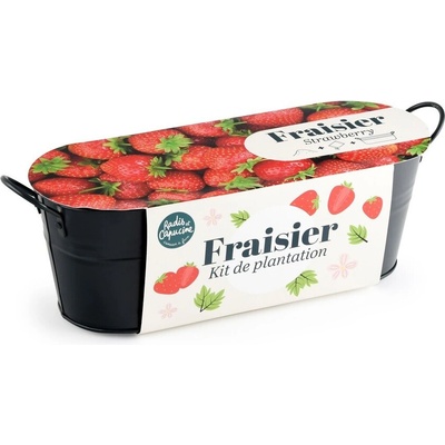 Radis et Capucine Ягоди - Балконска саксия черен цинк (pf143173)