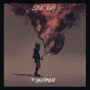 Chainsmokers - Sick Boy CD